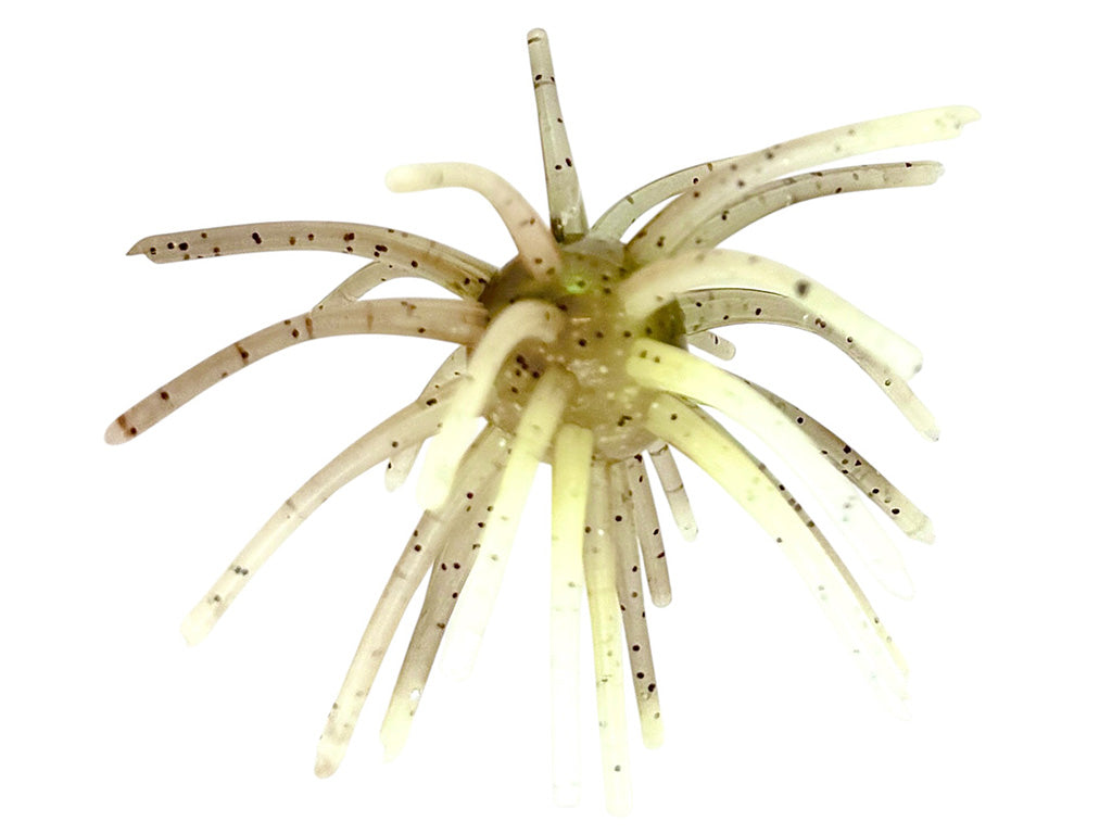 The Barnacle