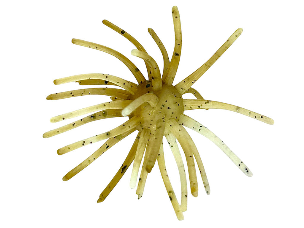 The Barnacle
