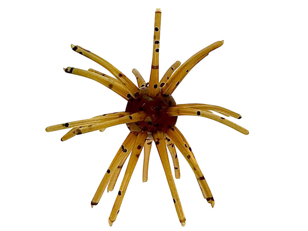 The Barnacle