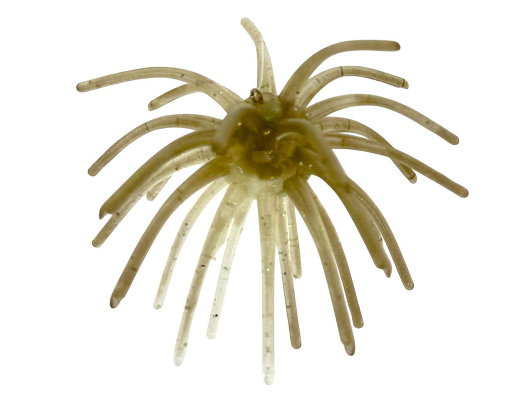 The Barnacle